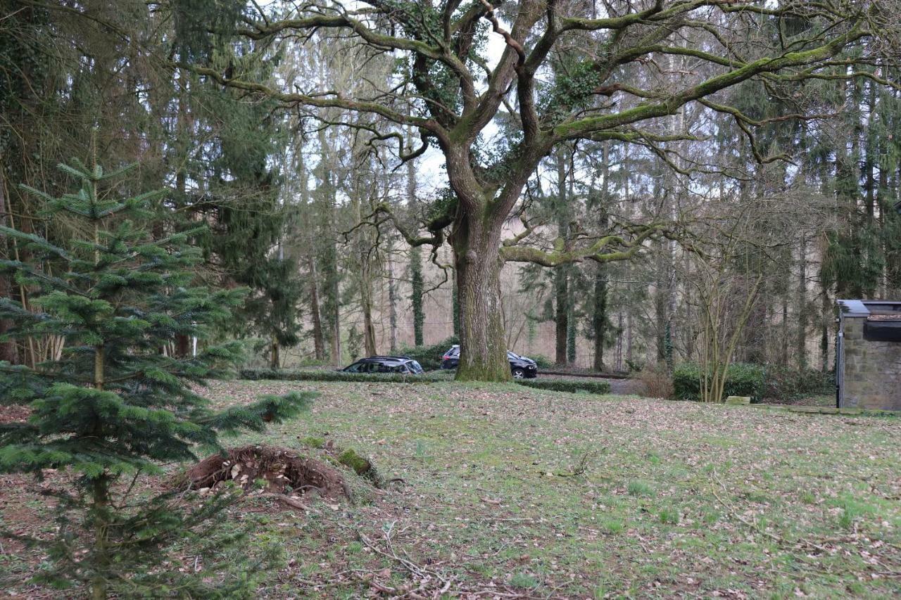 Villa Le portail des Ardennes à Nassogne Extérieur photo